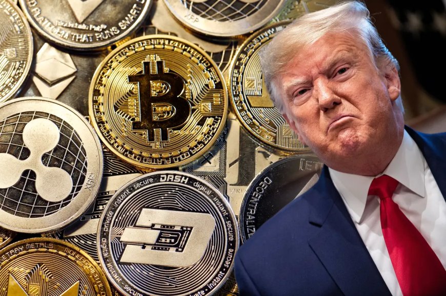 Trump promite eliberarea fondatorului Silk Road, Ross Ulbricht, sprijinind industria crypto