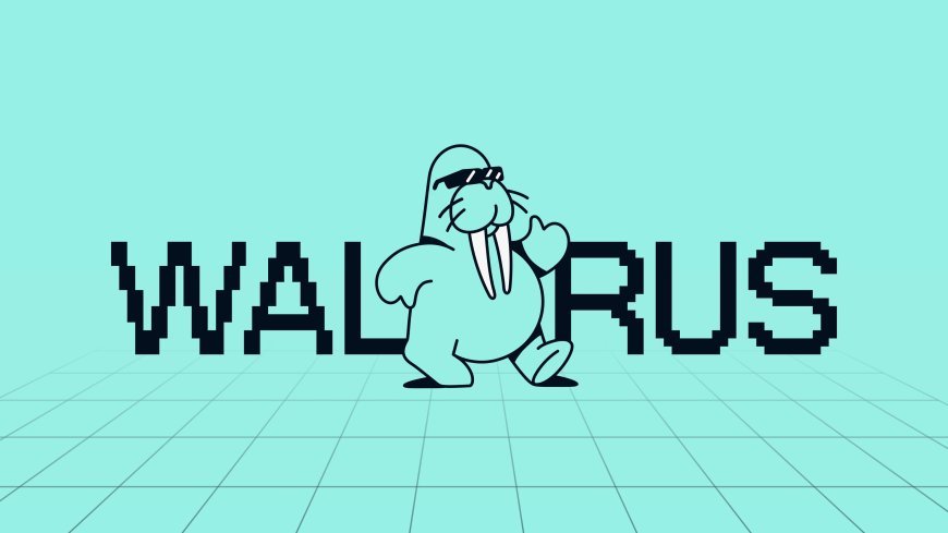 Walrus & Sui: Formula perfectă pentru revoluția Web3